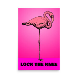 Lock The Knee